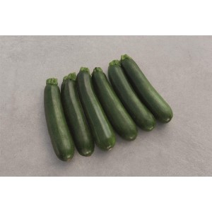 Cukinia Modena F1 wygląd