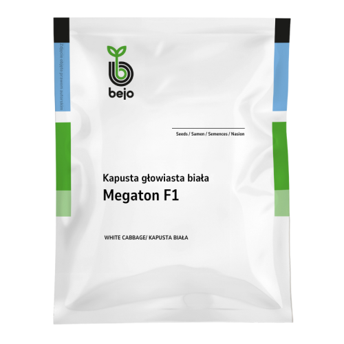 Kapusta głowiasta biała Megaton F1