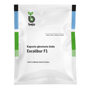 Kapusta głowiasta biała Excalibur F1