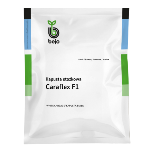 Kapusta głowiasta stożkowa Caraflex F1