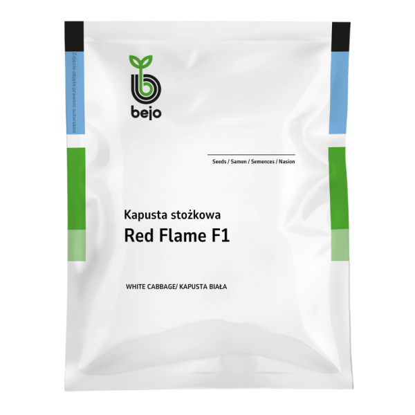 Kapusta głowiasta stożkowa Red Flame (czerwona)