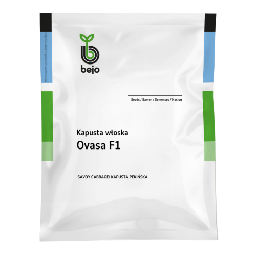 Kapusta włoska Ovasa F1