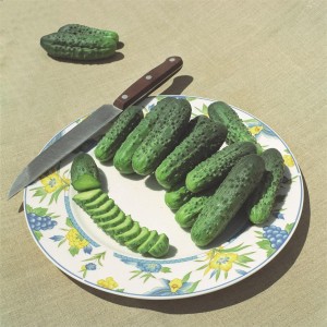 Ogórek gruntowy Allianz F1 wygląd