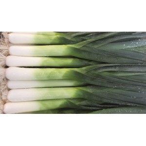 Por Bowler F1 wygląd