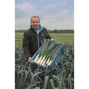 Por Curling F1 wygląd