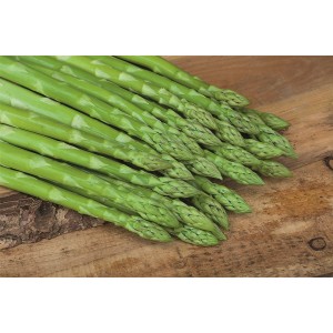 Szparag Bacchus F1 wygląd