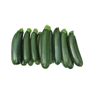 Cukinia Logos F1 wygląd