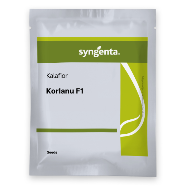 Kalafior Korlanu F1