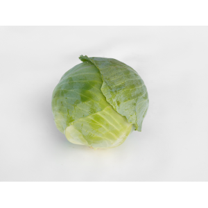 Kapusta Kilafox F1 wygląd