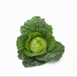 Kapusta włoska Preludium F1 wygląd