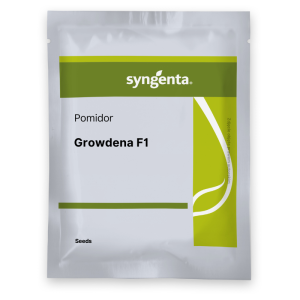 Pomidor Growdena F1