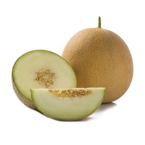 Melon Gediz F1