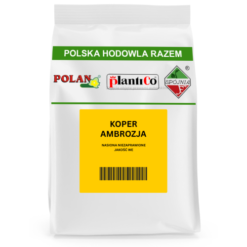 Koper Ambrozja – aromatyczna, plenna odmiana