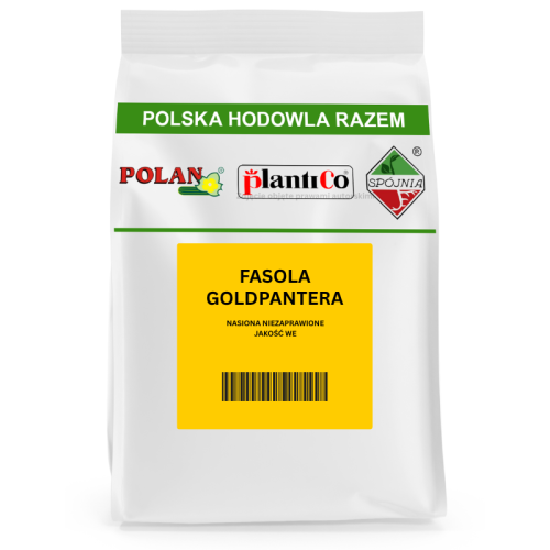 Fasola Goldpantera