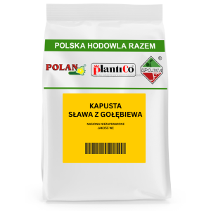 Kapusta Sława z Gołębiewa