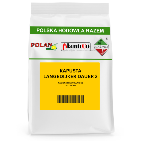 Kapusta Langedijker Dauer 2
