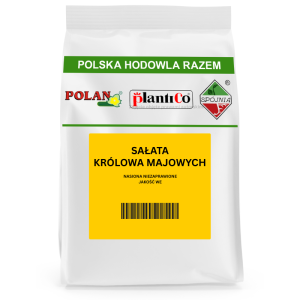 SAŁATA KRÓLOWA MAJOWYCH