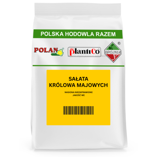SAŁATA KRÓLOWA MAJOWYCH