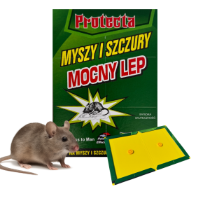 Lep na myszy i szczury. Protecta 100 sztuk - szybka wysyłka