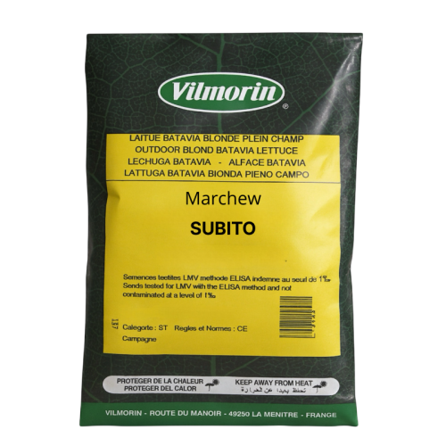 Marchew Subito F1