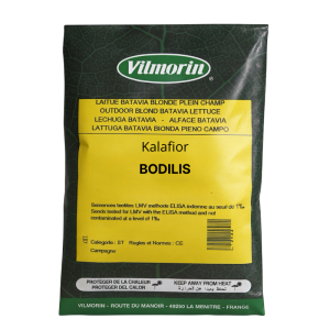 Kalafior Bodilis F1