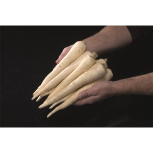 Pietruszka korzeniowa Eagle WYGLĄD