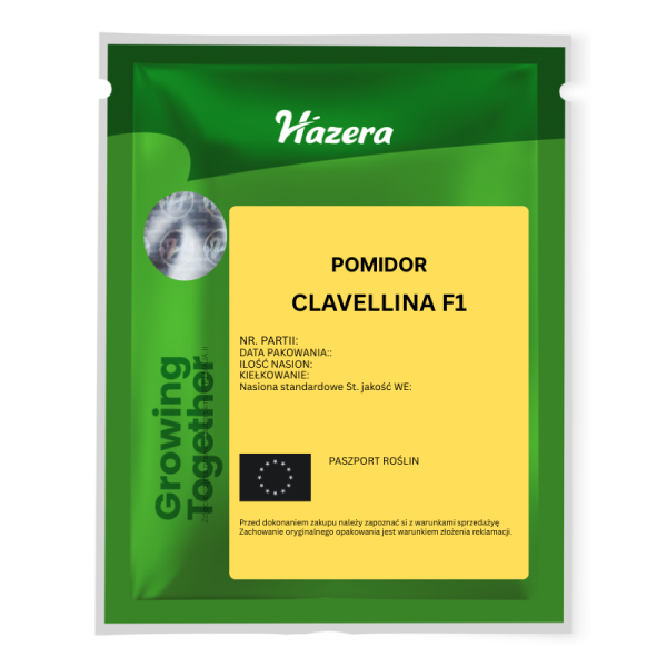 Pomidor szklarniowy cherry Clavellina