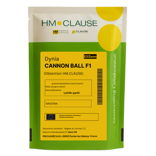 Dynia Cannon Ball F1 – mała dynia Halloween