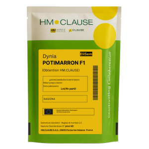 Dynia hokkaido Potimarron F1