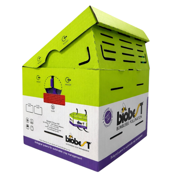 TRZMIELE do zapylania Ul standard (BIOBEST)