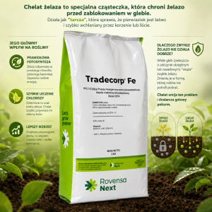 Żelazo FE 13% Caya 5kg (Chelat żelaza EDTA)