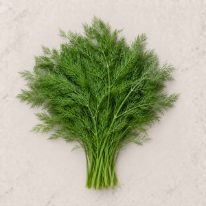 Koper Ambrozja – aromatyczna, plenna odmiana