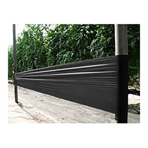 Czarne tablice lepowe , tuta absoluta , skośnik pomidorowy , zwalczanie 20x25