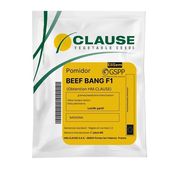 Pomidor szklarniowy czerwony  Beef Bang F1