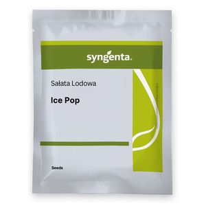 Sałata lodowa Ice Pop