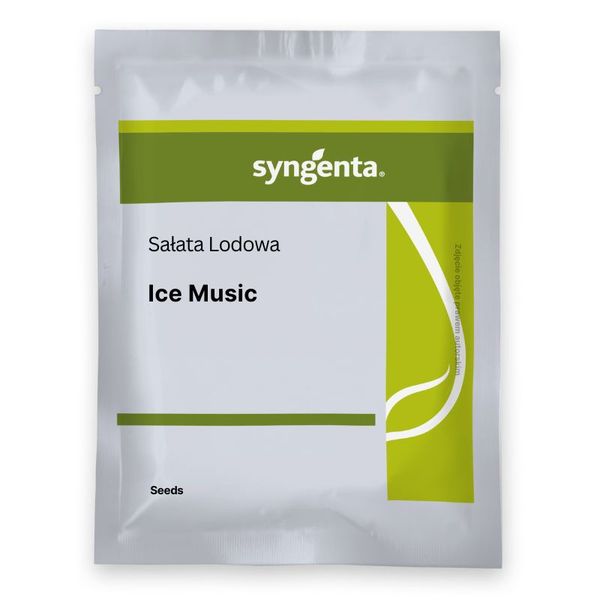 Sałata lodowa Ice Music
