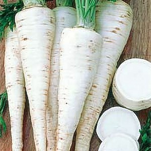 KAŚKA