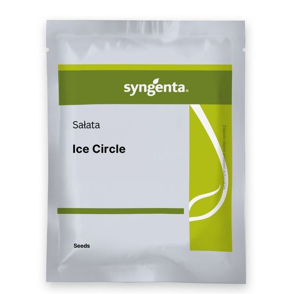Sałata Ice circle