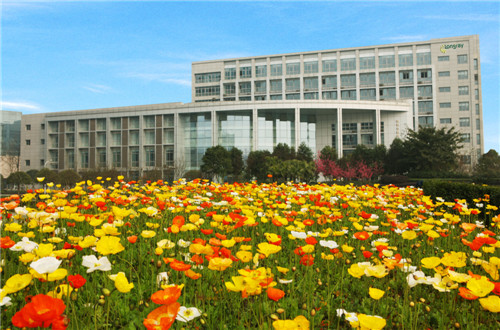 longray siedziba firmy.jpg