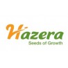 Hazera
